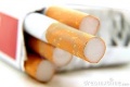Filtro Cigarro.jpg